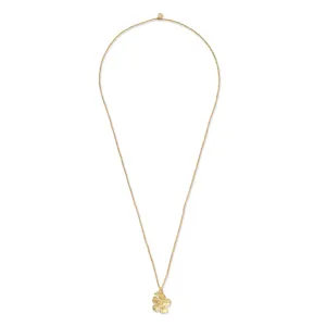 Paradise citrien goudkleurige ketting